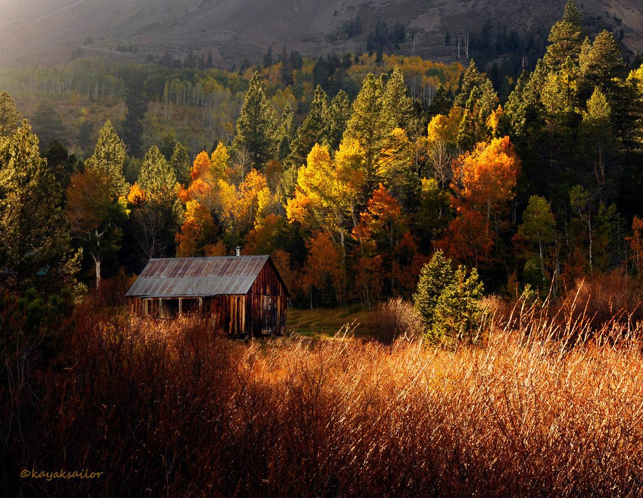 1280x991 Wood Cabin Wallpaper