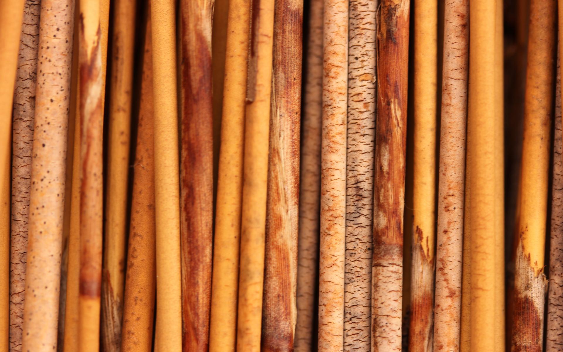 1920x1200 Wood Wallpaper HD