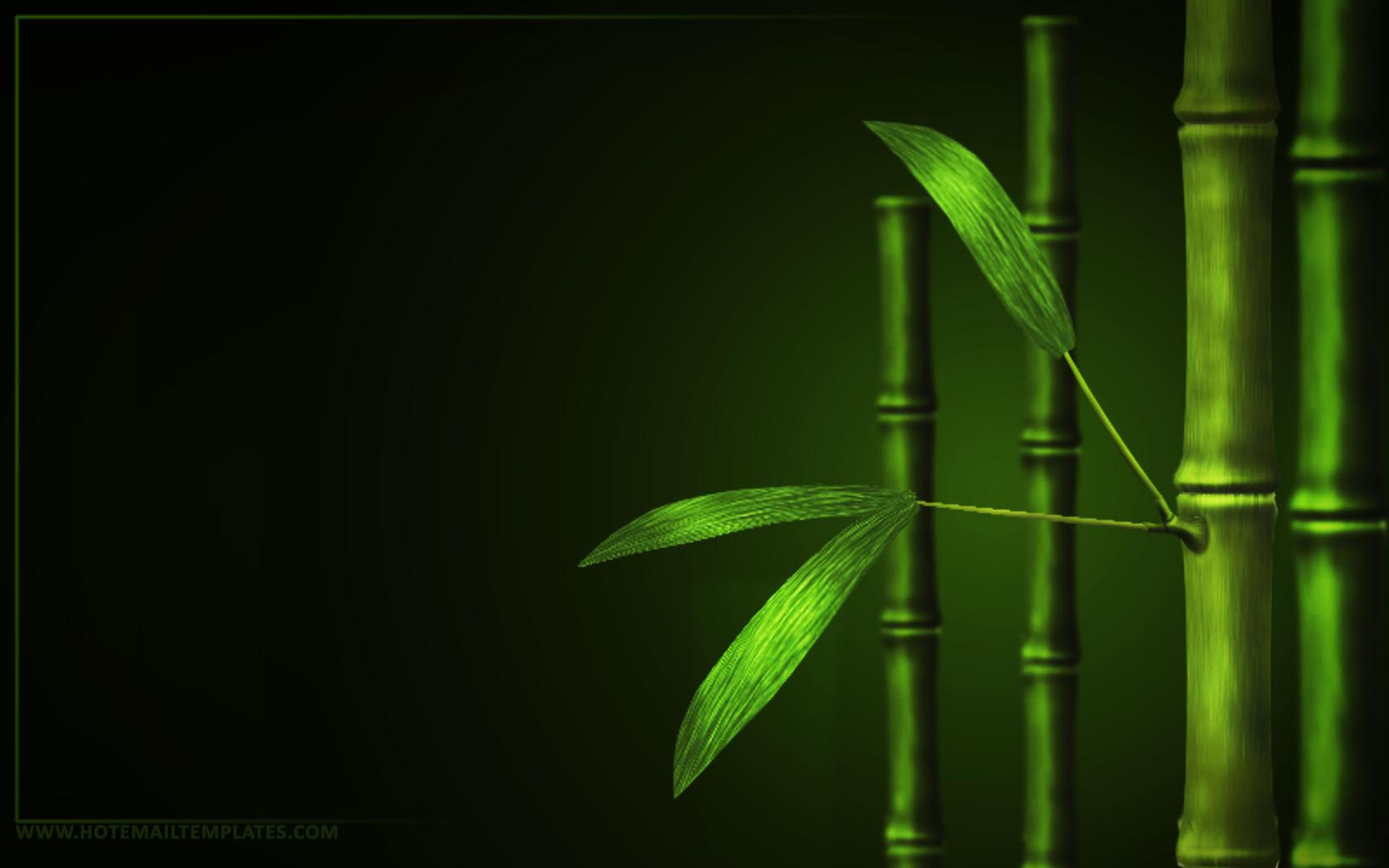 bamboo desktop wallpaper