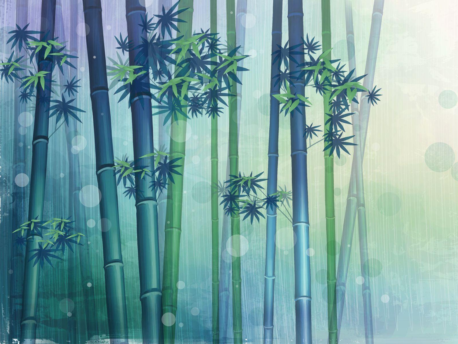 1600x1200 Bamboo Wallpaper, HD Bamboo Background