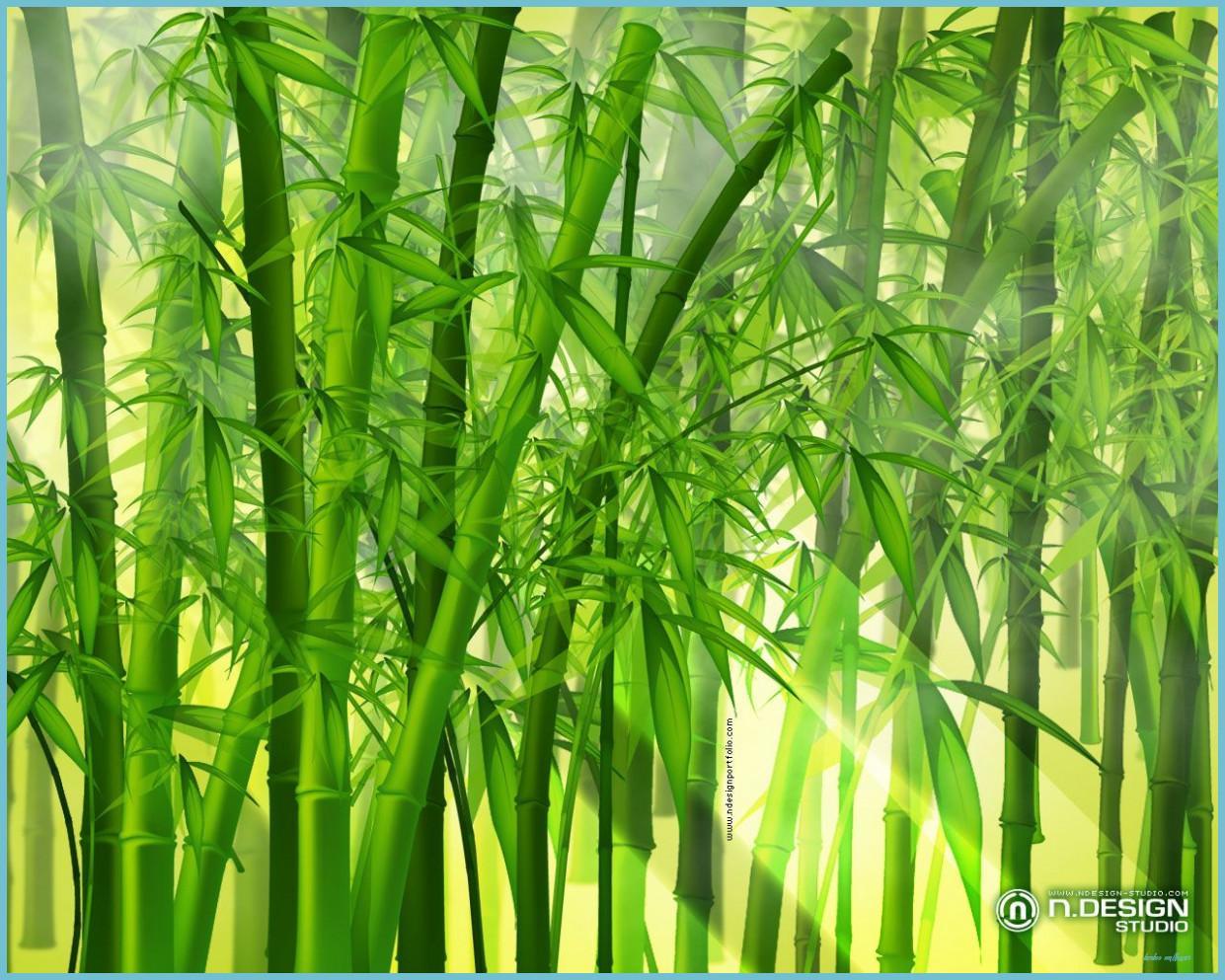 1241x993 Bamboo Wallpaper Bamboo Wallpaper, Bamboo Background, Bamboo Forest