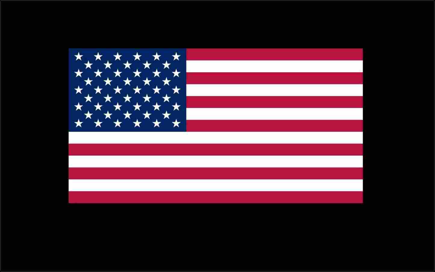 1445x905 USA Flag Wallpaper