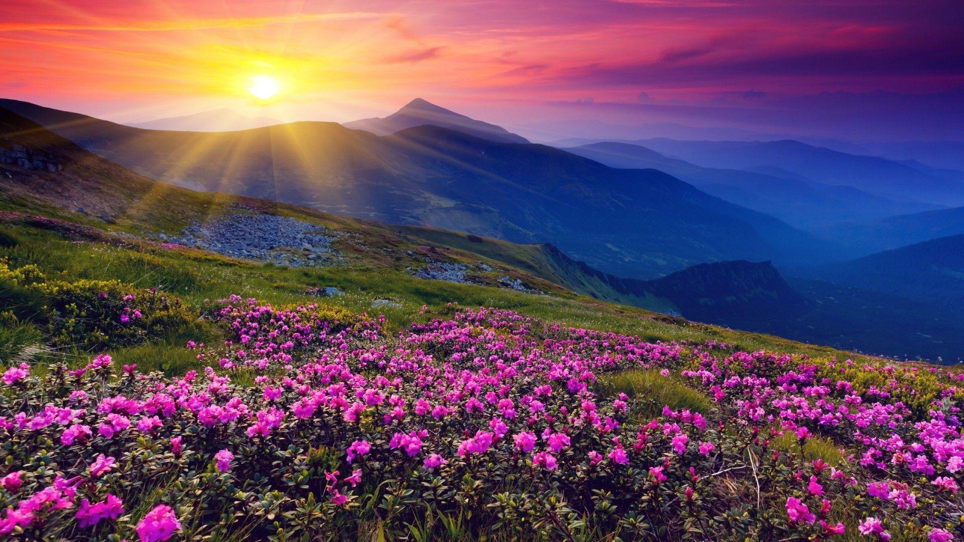 1920x1080 Sunset!. Beautiful landscapes, Landscape photography, Beautiful nature