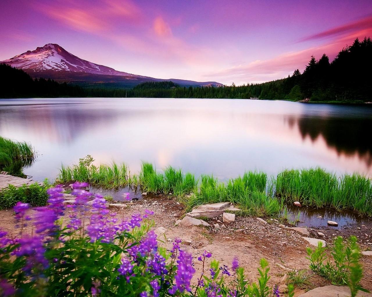 1280x1024 Free download picture mountain beautiful lake sunset wallpaper and Car Picture [1280x1024] for your Desktop, Mobile & Tablet. Explore Beautiful Mountain Lake Wallpaper. Lake Wallpaper HD, Summer Lake Desktop