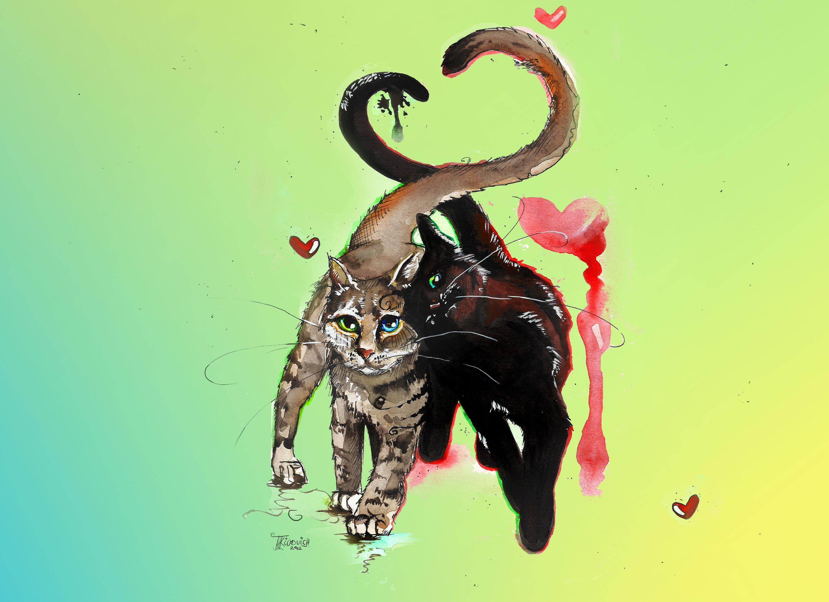 2673x1940 cats, love, spring, mustache, drawing, watercolor, heart, couple wallpaper