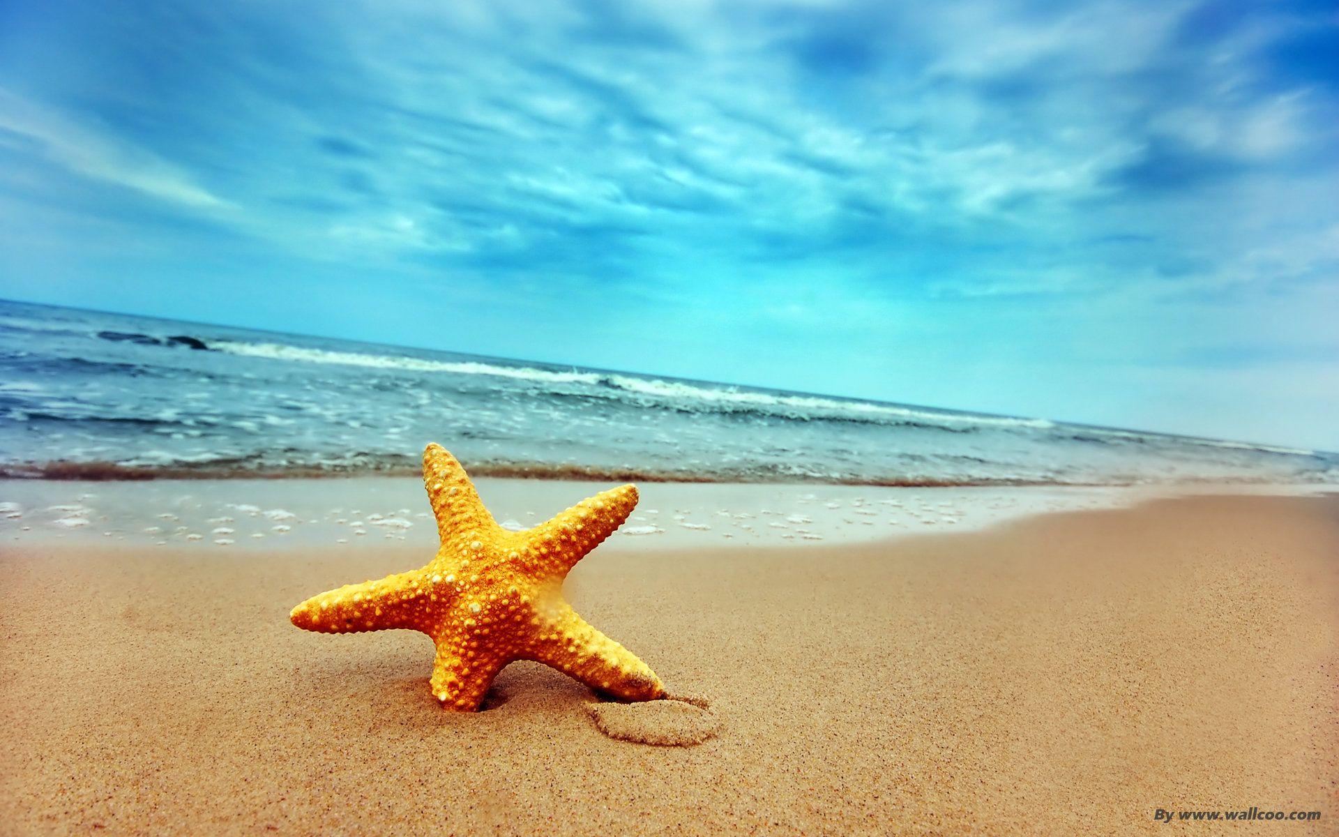 1920x1200 Starfish on the beach 17258 photo scenery. Beach wallpaper, Beautiful beaches, Beach