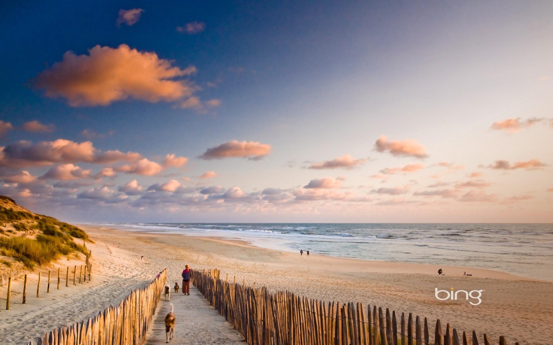 1920x1200 Ocean Beach Fences People Dogs desktop PC and Mac wallpaper