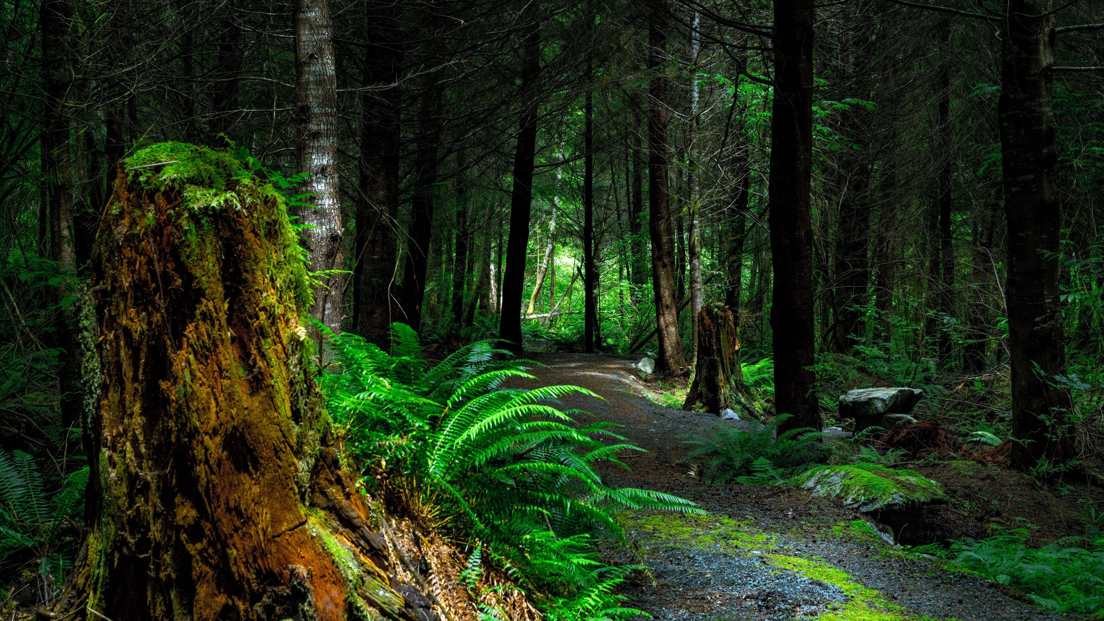 3840x2160 HD Wallpaper for theme: canada HD wallpaper, background