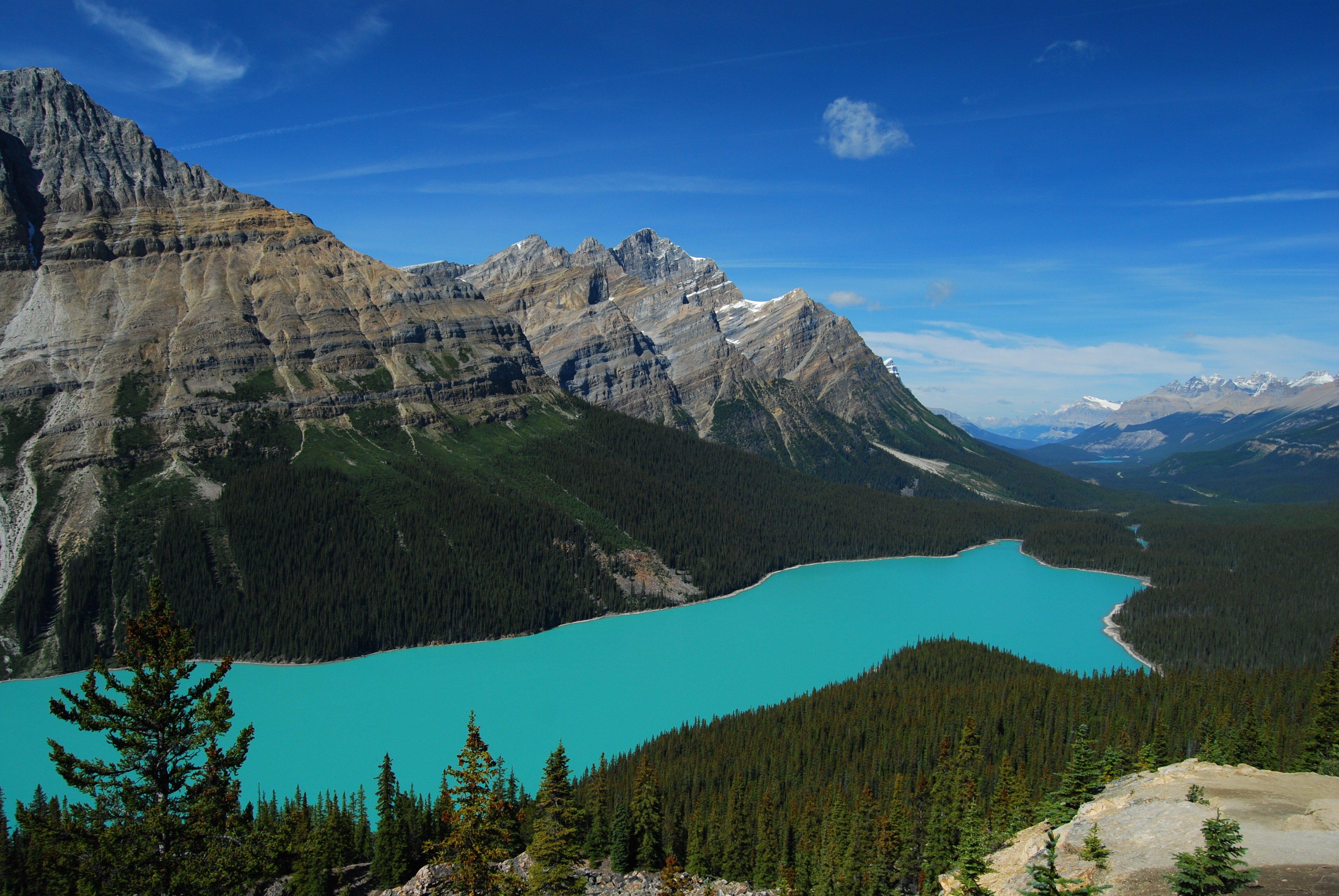 3872x2592 lake, Mountain, Forest, Landscape, Peyto, Lake, Banff, National, Park, Canada, Peyto, Canada, Trees, Firs Wallpaper HD / Desktop and Mobile Background