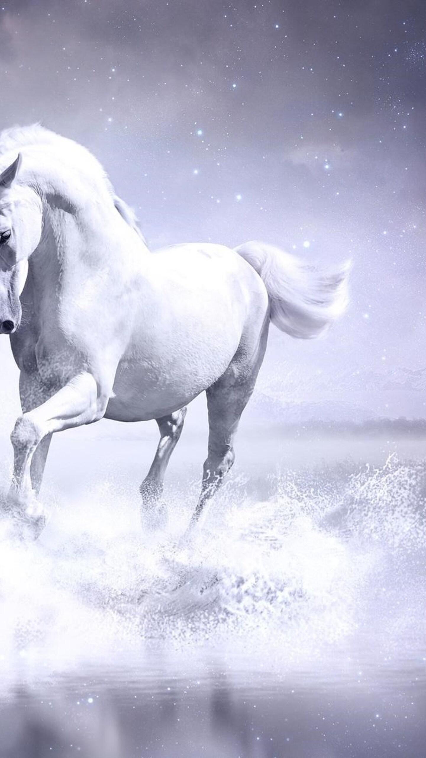 1440x2560 White Horse Samsung Galaxy S S7 , Google Pixel XL , Nexus 6P , LG G5 HD 4k Wallpaper, Image, Background, Photo and Picture