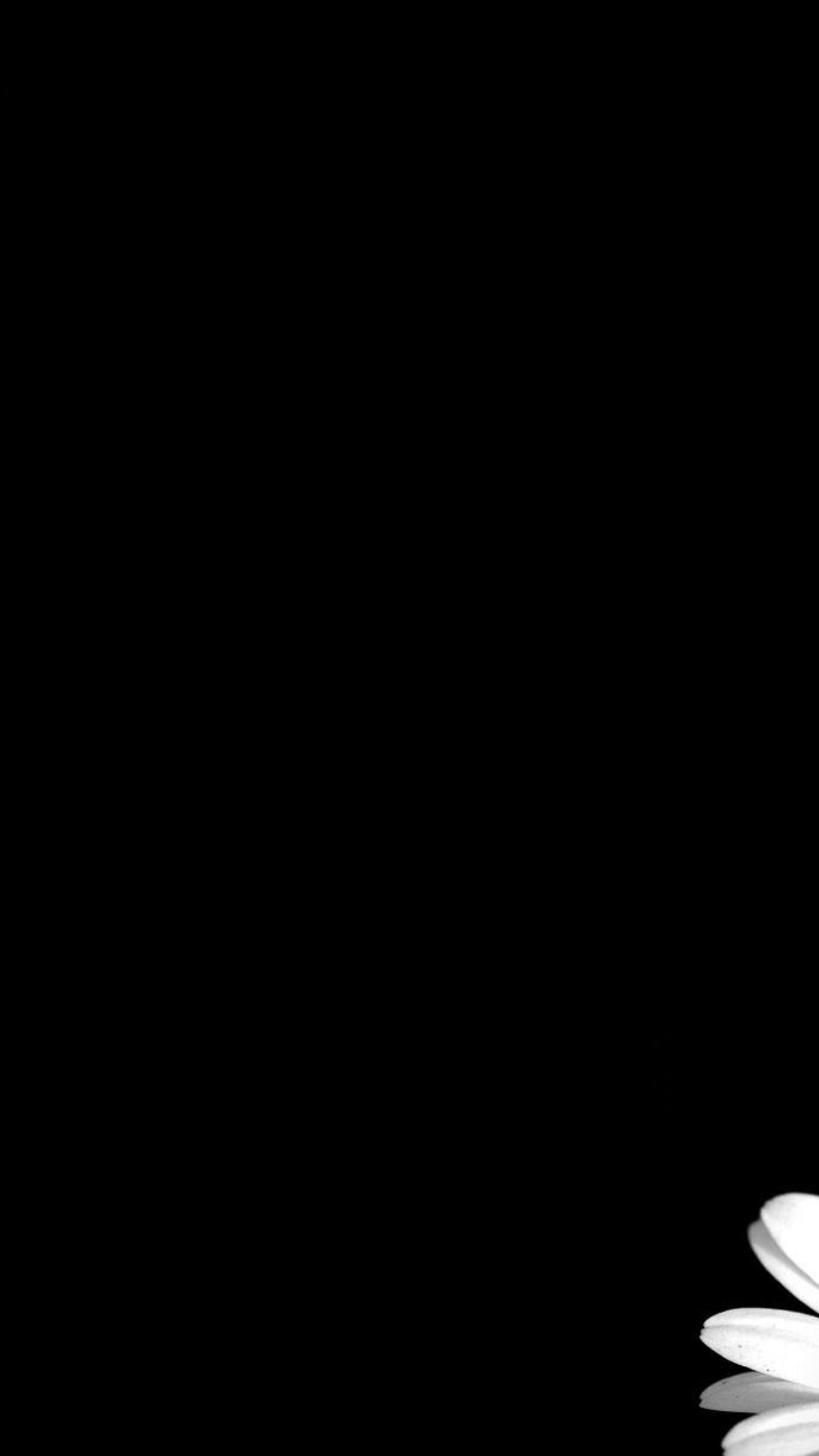 1440x2560 Free download Black background HD Wallpaper Desktop Background [1440x2560] for your Desktop, Mobile & Tablet. Explore Wallpaper Black. Black Background Wallpaper, Black And White Desktop Wallpaper, Dark Wallpaper for Desktop
