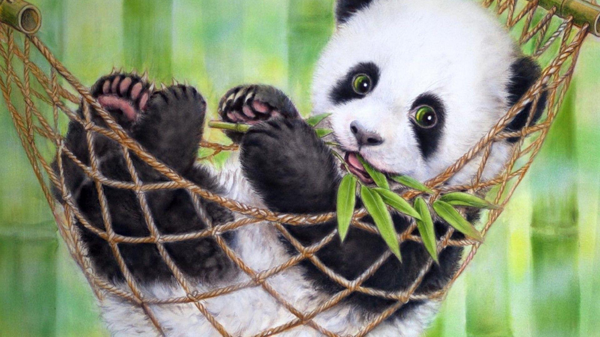 Cute Baby Panda Wallpapers Top Free Cute Baby Panda Backgrounds Wallpaperaccess