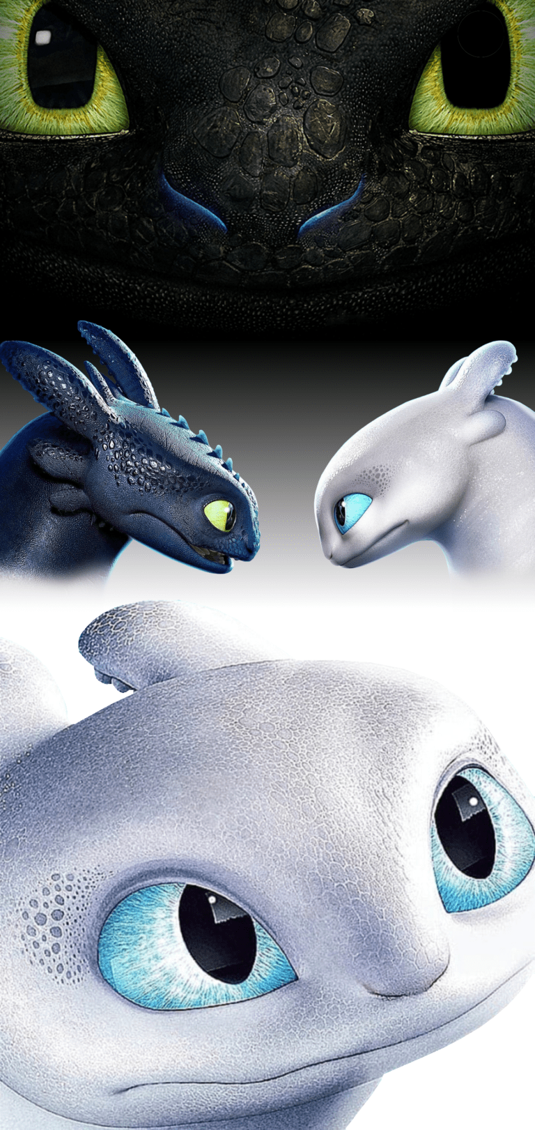 768x1621 Toothless Together With Light Fury Galaxy S10 Hole Punch Wallpaper