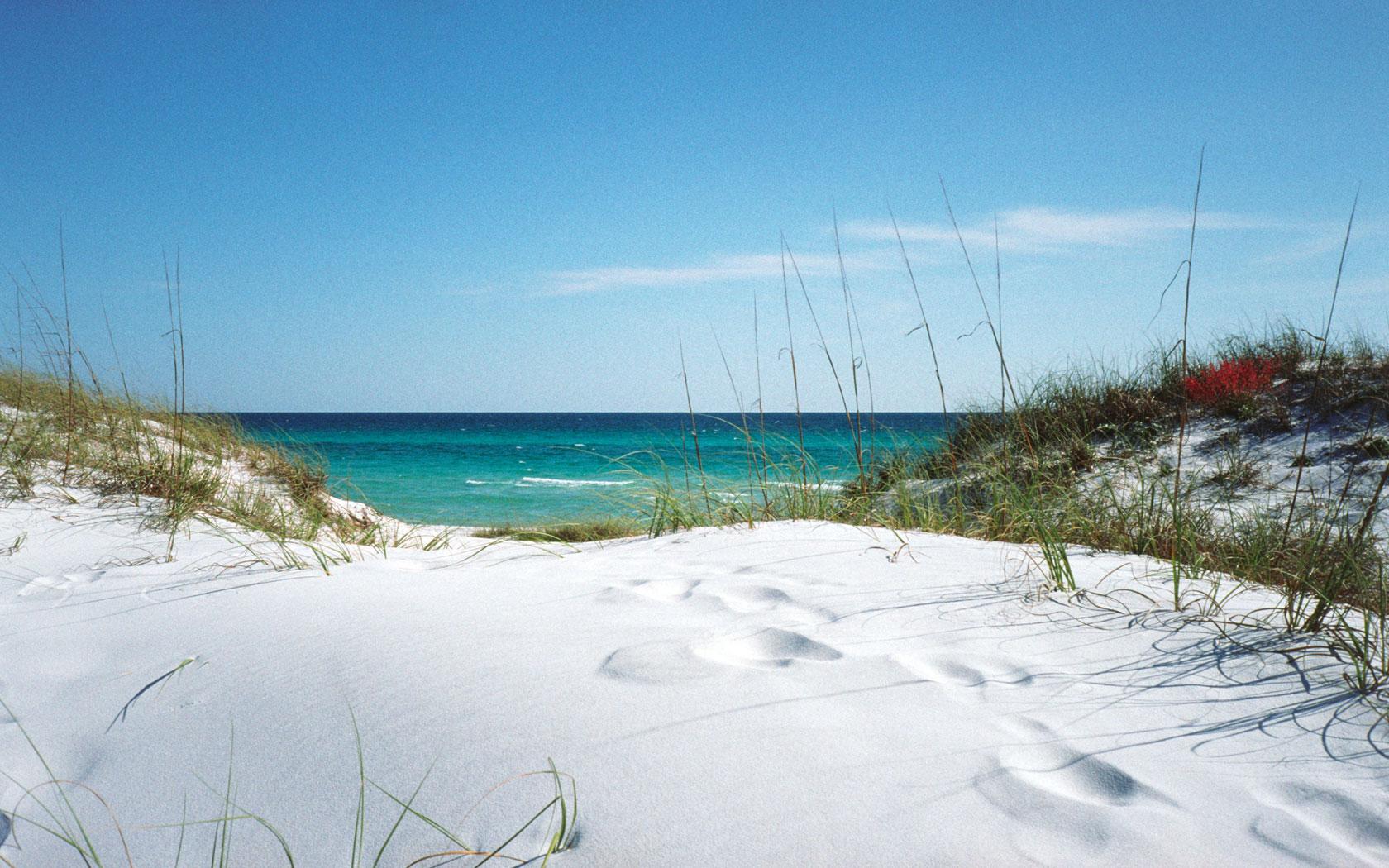 1680x1050 Free download Grayton Beach Dunes below is shown smaller than the actual size of [1680x1050] for your Desktop, Mobile & Tablet. Explore Florida Scenery Wallpaper. Florida Beach Wallpaper Desktop