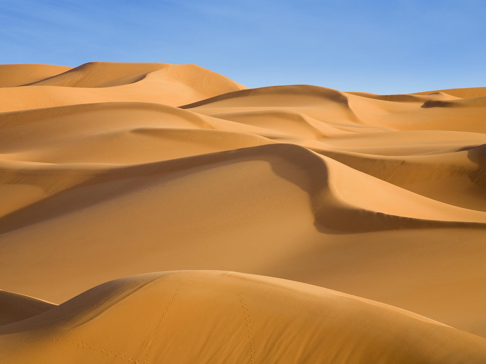 1600x1200 Sand Dunes wallpaperx1200