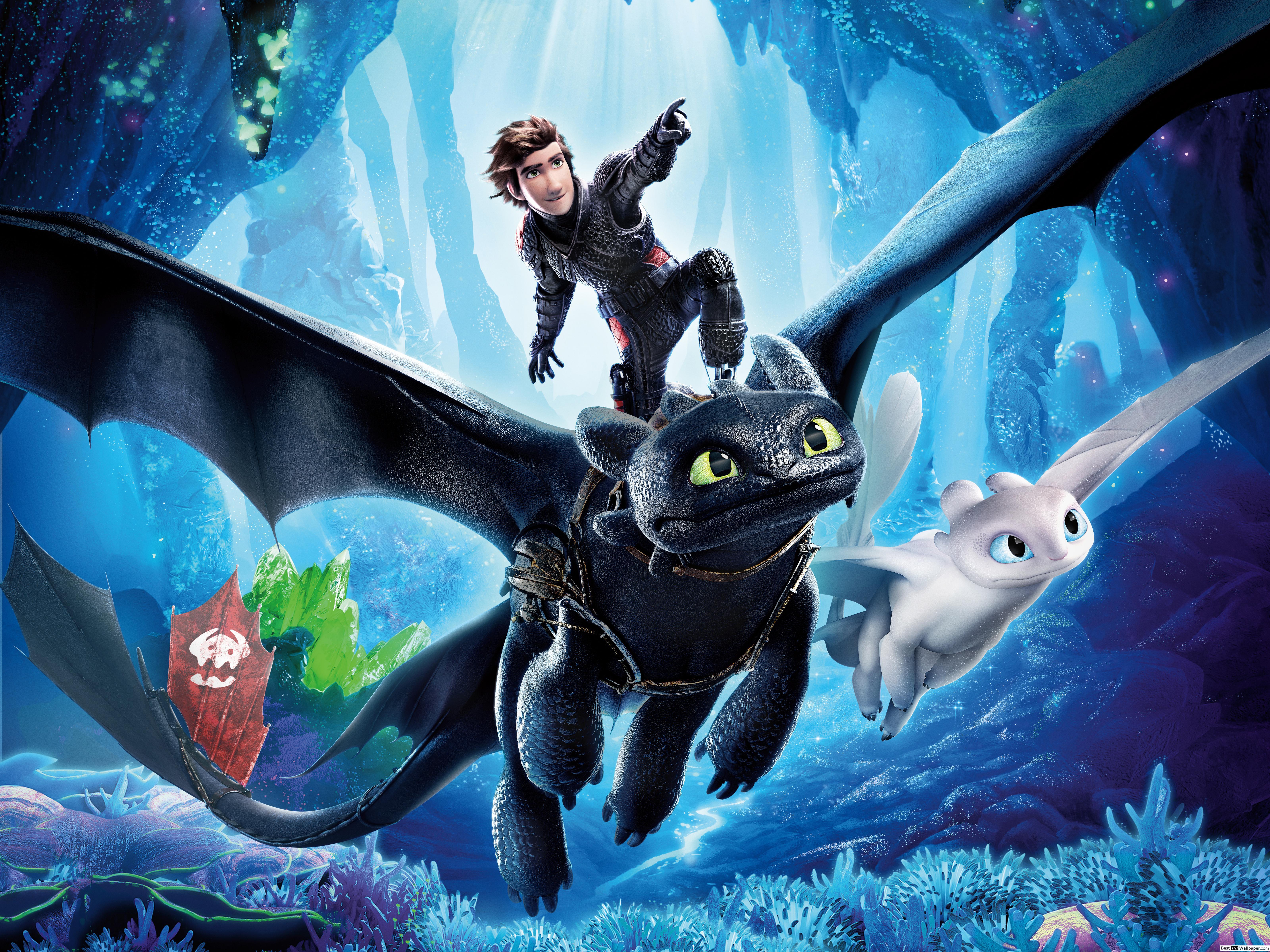 6400x4800 Hiccup and Toothless and a light fury HD wallpaper download