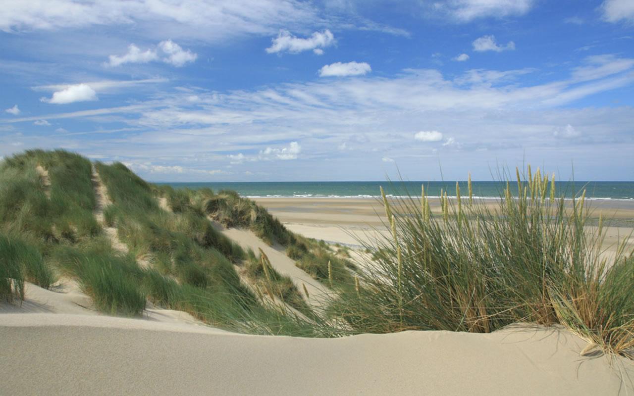 1280x800 Beaches And Sand Dunes