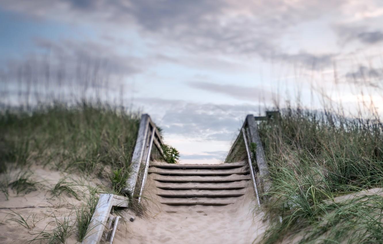 1332x850 Wallpaper beach, summer, dunes image for desktop, section природа