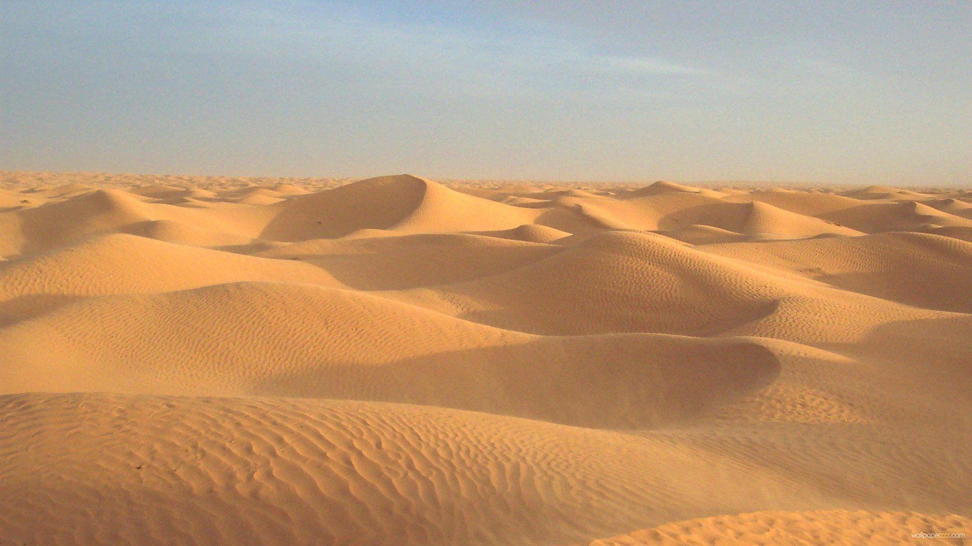 1920x1080 Dune Wallpaper