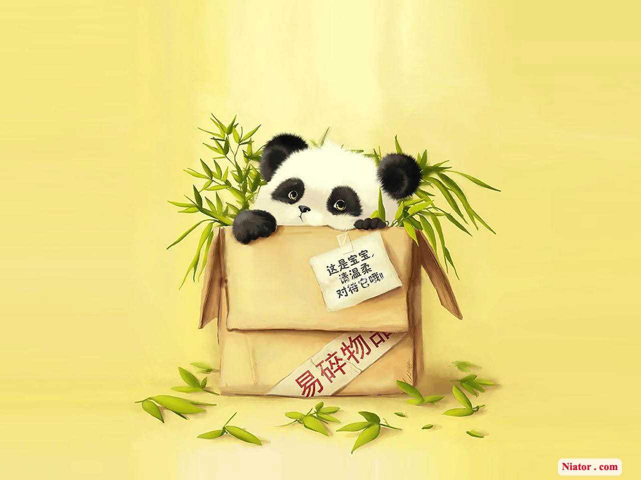 1280x960 Cute Panda Wallpaper