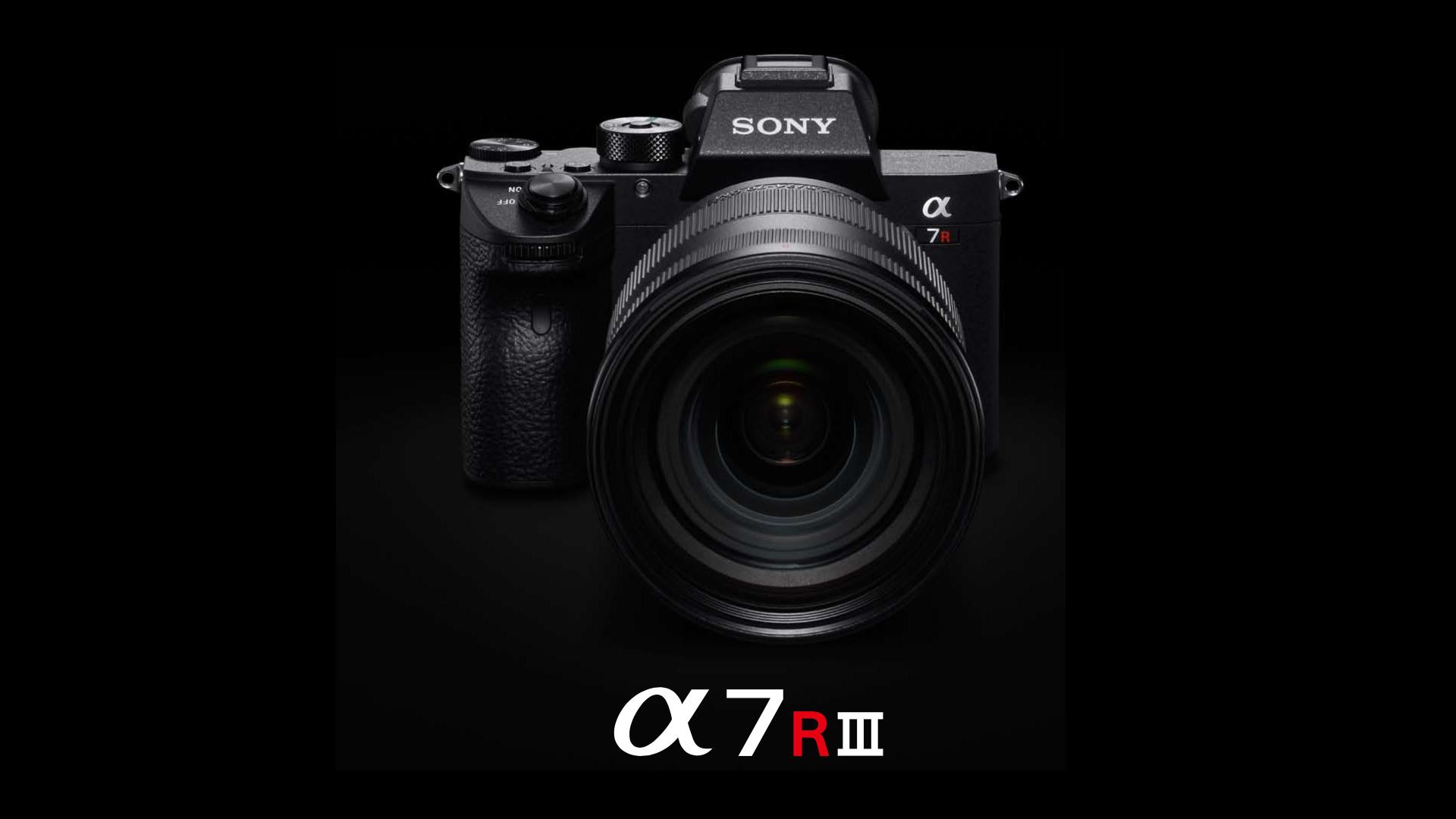1920x1080 New Sony V3 A7III and a7RIII firmware is out and it has Animal Eye AF!. Steve Huff Photo