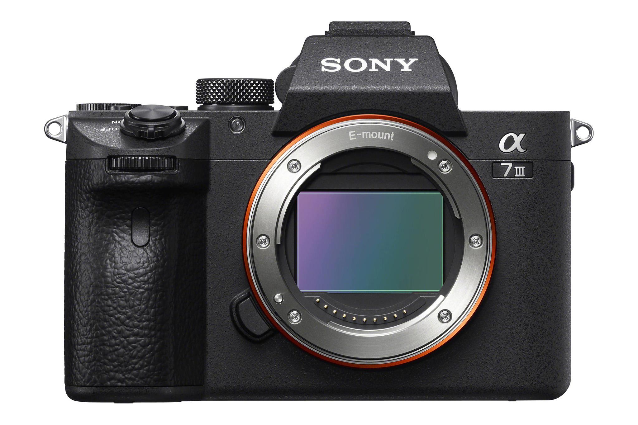 2048x1365 Sony A7 III Review