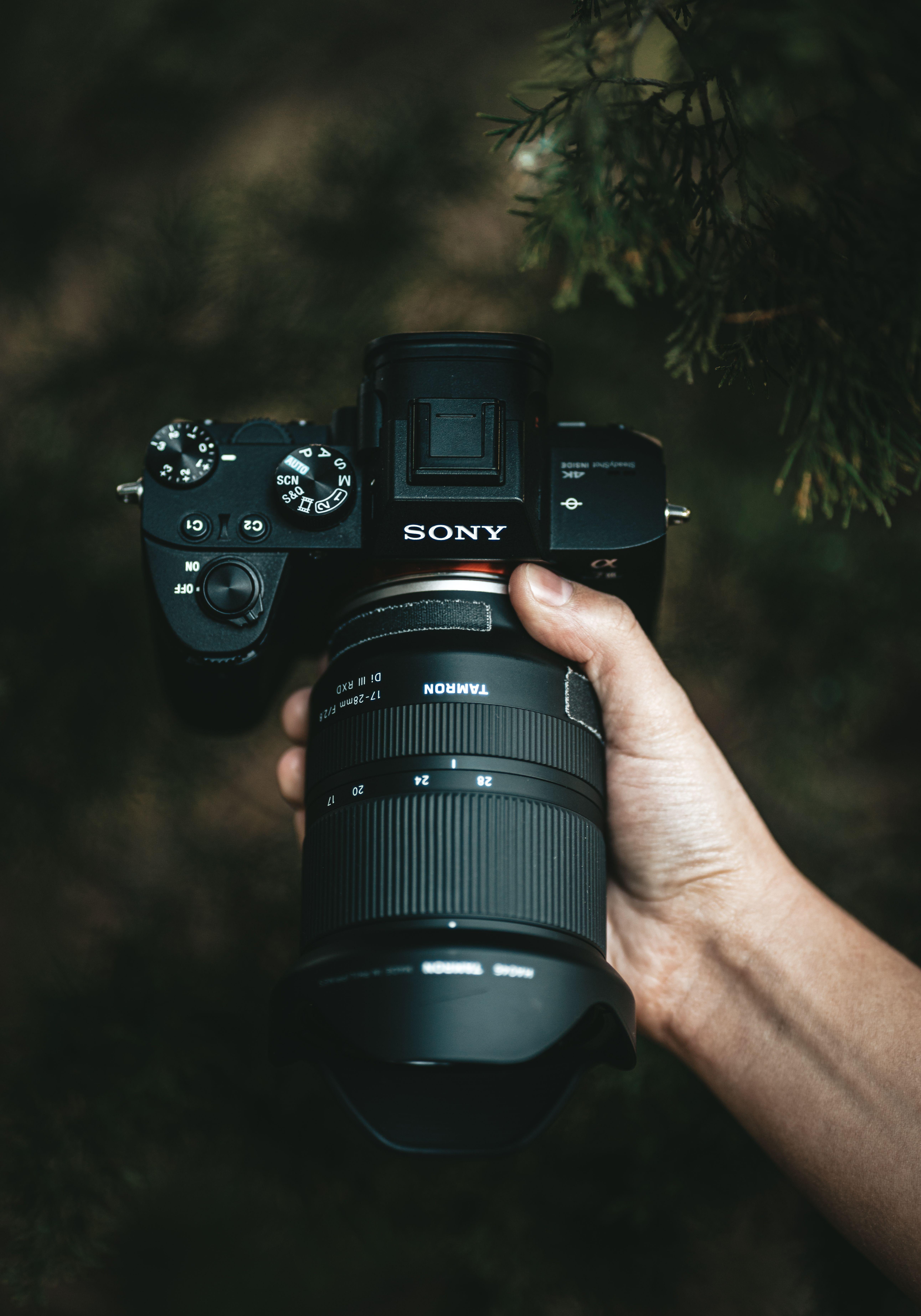 5168x7381 Sony A7III With The Tamron 17 28mm 2.8. Best Camera For Photography, Sony Photography, Photography Camera