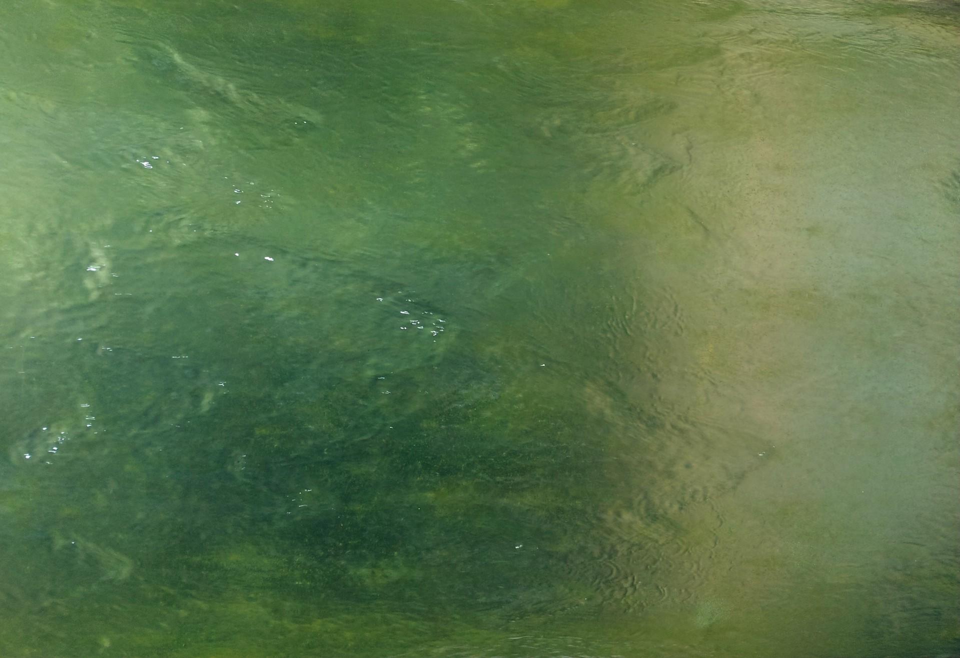 Jade Green Wallpapers Top Free Jade Green Backgrounds WallpaperAccess