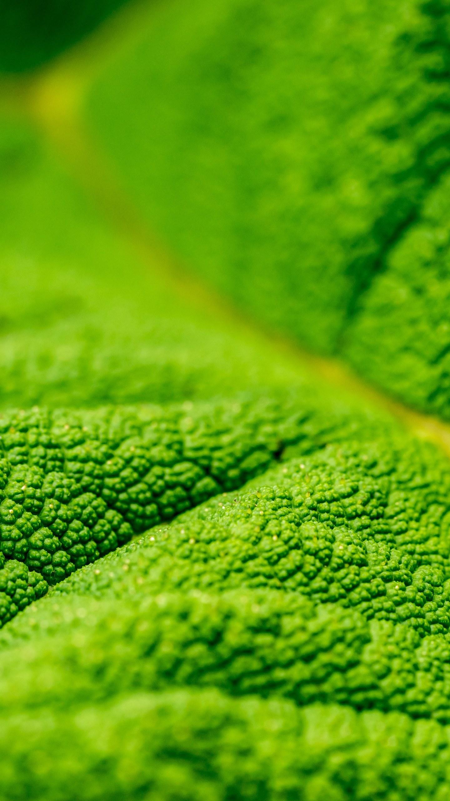 Jade Green Wallpapers Top Free Jade Green Backgrounds WallpaperAccess