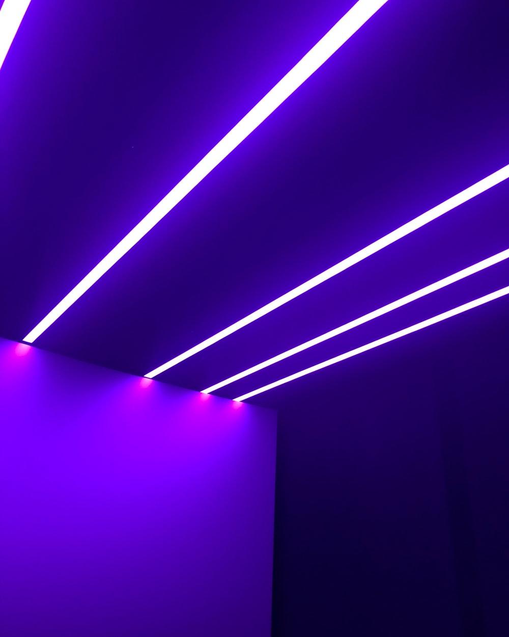 1000x1250 Purple Neon Picture. Download Free Image