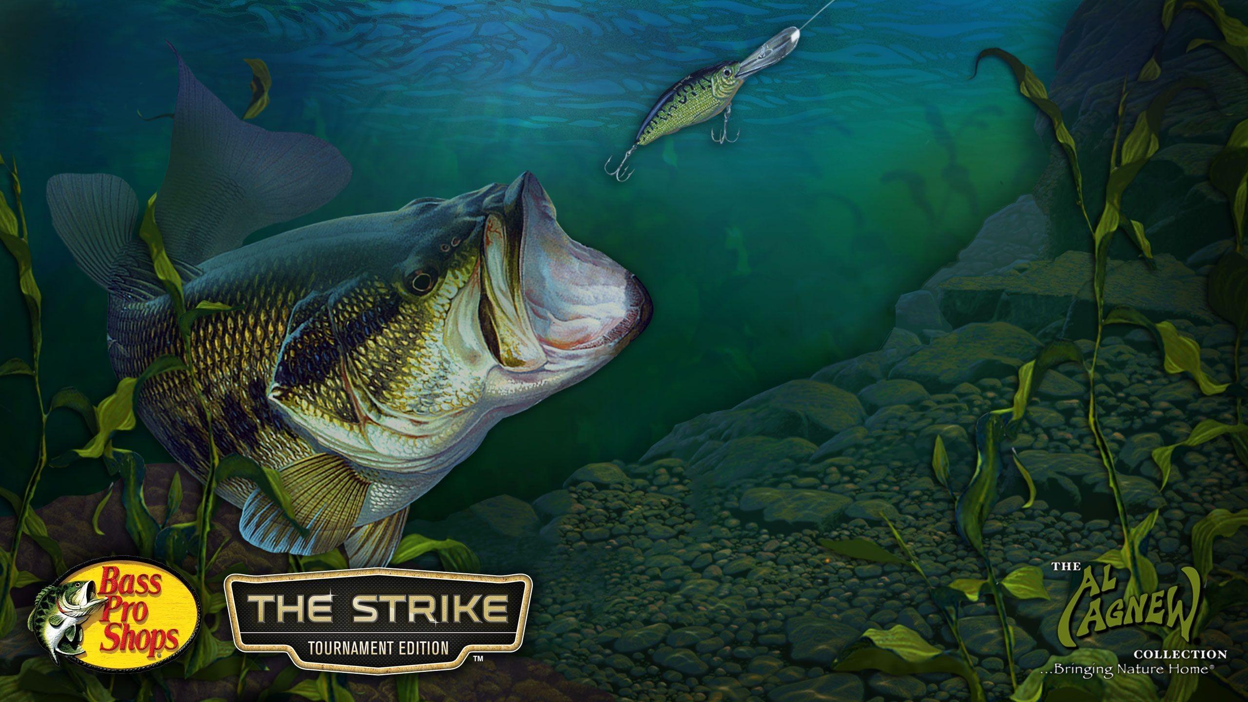 2560x1440 Bass Fishing Wallpaper HD