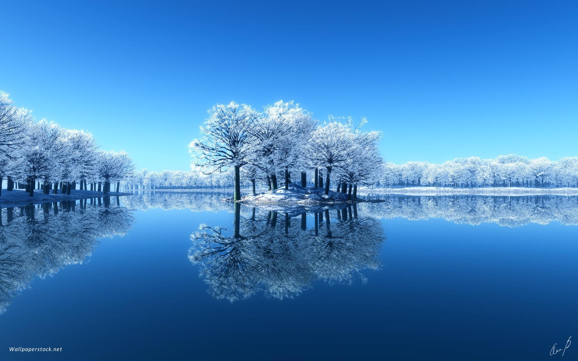1920x1200 Snow white trees wallpaper. Snow white trees