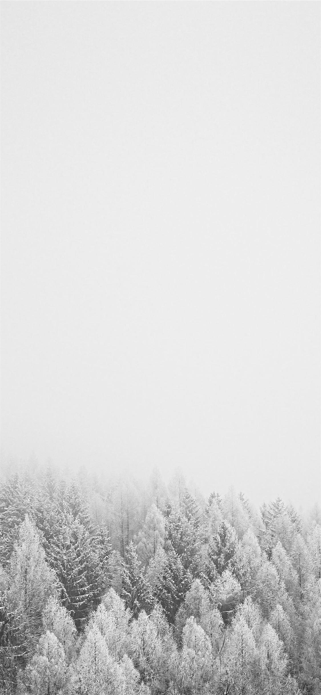 1125x2436 Snow Covered Trees During Daytime #grey #black And White #nature #tree #snow #iPhone11W. Snow Wallpaper Iphone, Winter Wallpaper, Black And White Wallpaper Iphone