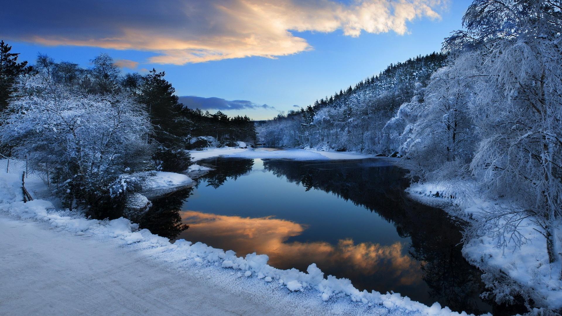 White Tree Snow Wallpapers Top Free White Tree Snow Backgrounds