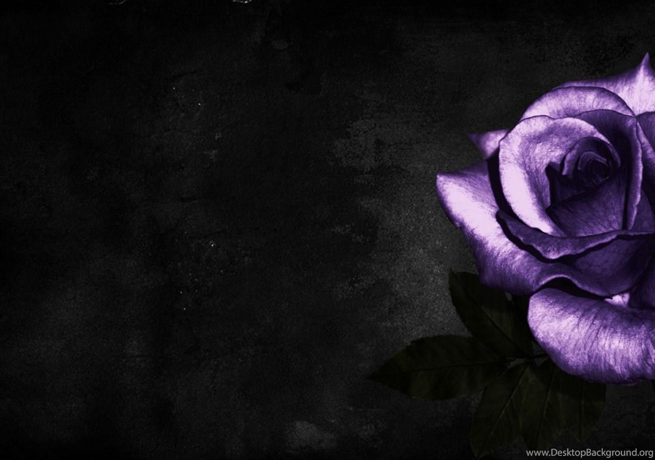 1280x900 Dark Purple Wallpaper GckU 114215 Desktop Wallpaper Desktop Background