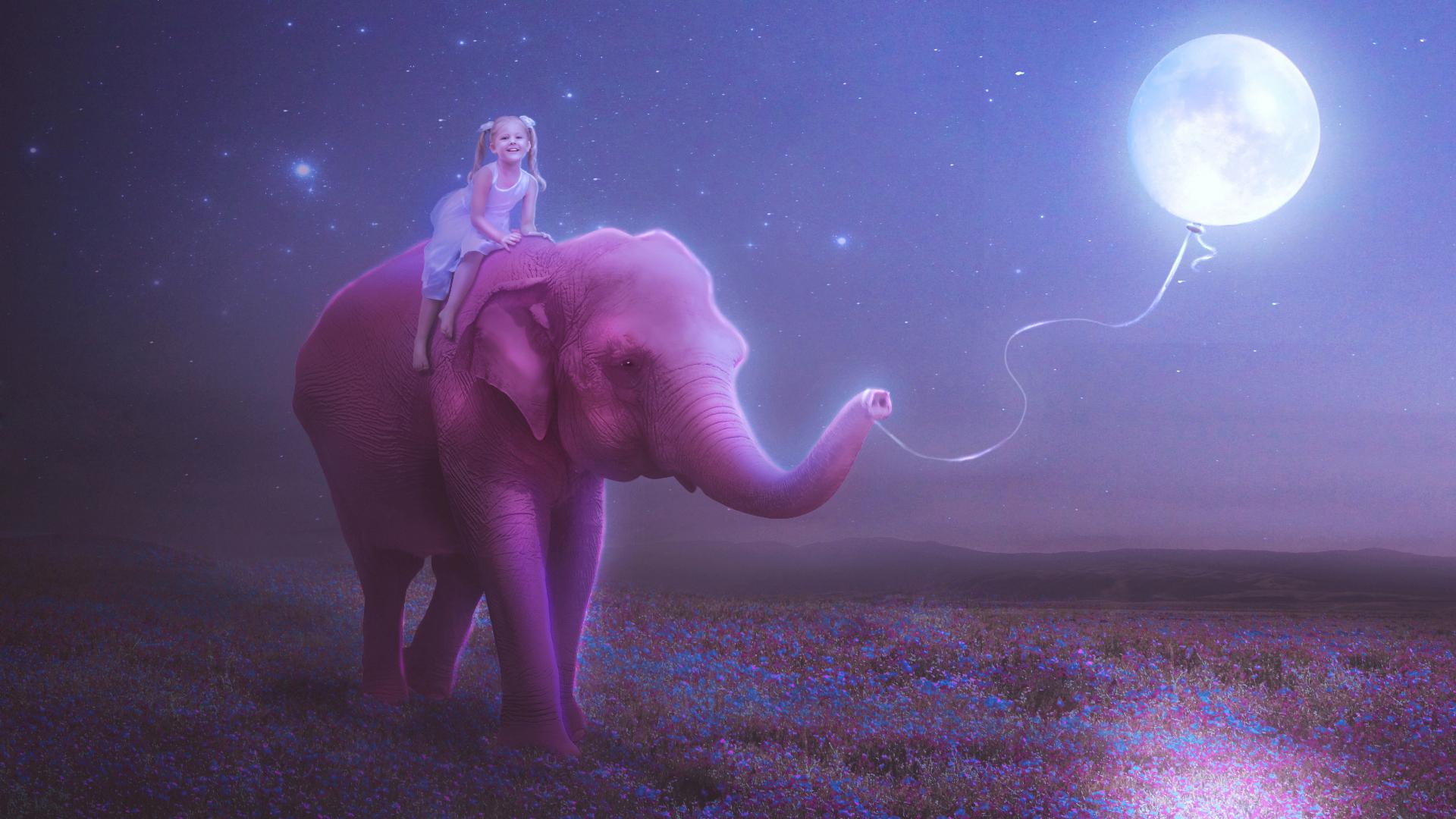1920x1080 Free Elephant Background