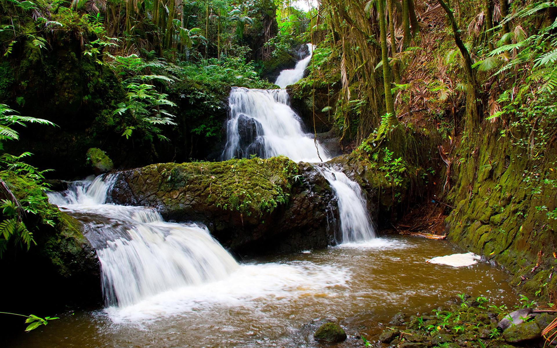 1920x1200 Image Hawaii USA Nature Waterfalls 1920x1200