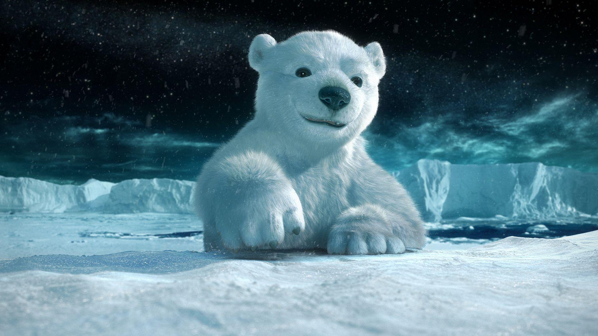 1920x1080 Polar Bear Wallpaper, Beautiful Polar Bear Wallpaper