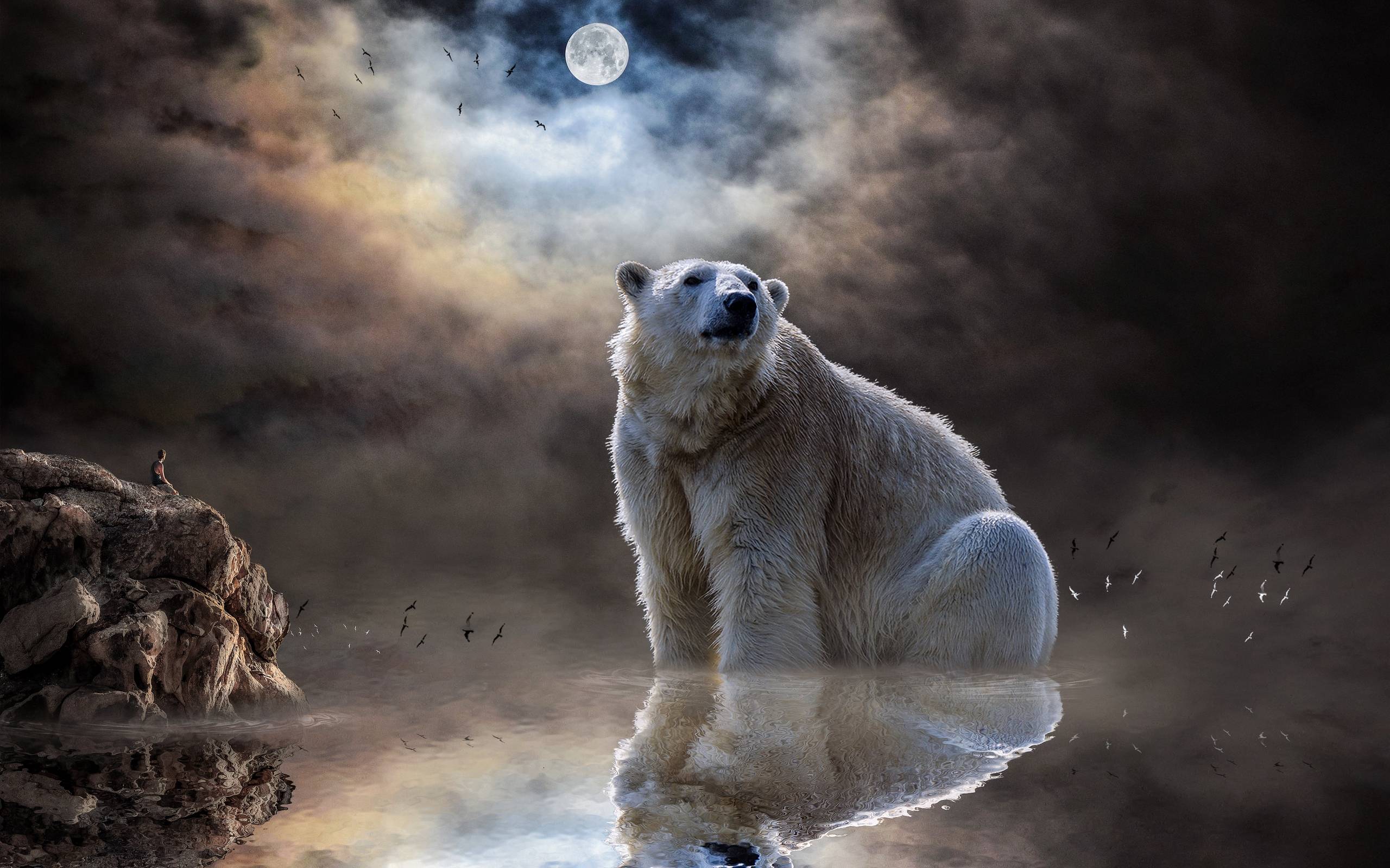 Cool Polar Bear Wallpapers - Top Free Cool Polar Bear Backgrounds ...