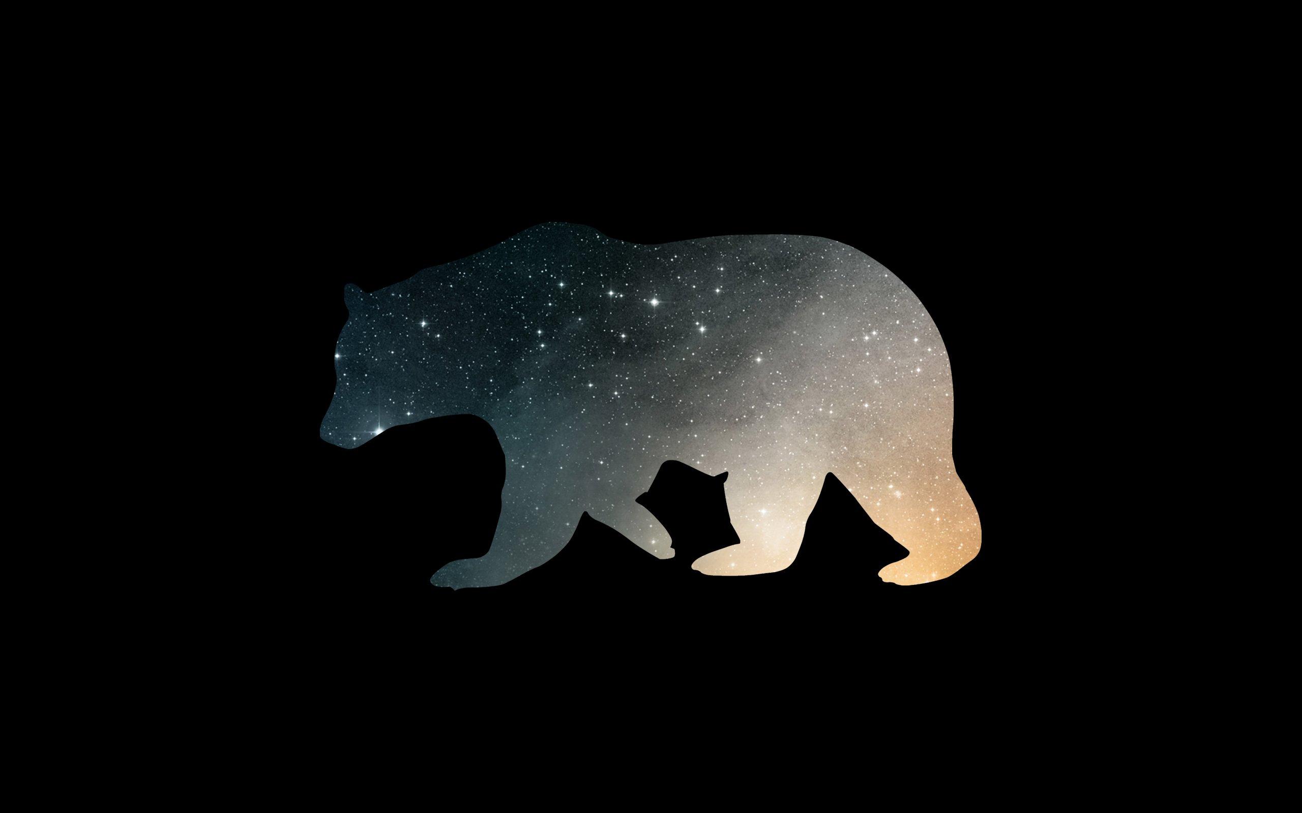 2560x1600 Minimal Bear S Wallpaper Wallpaper Phone