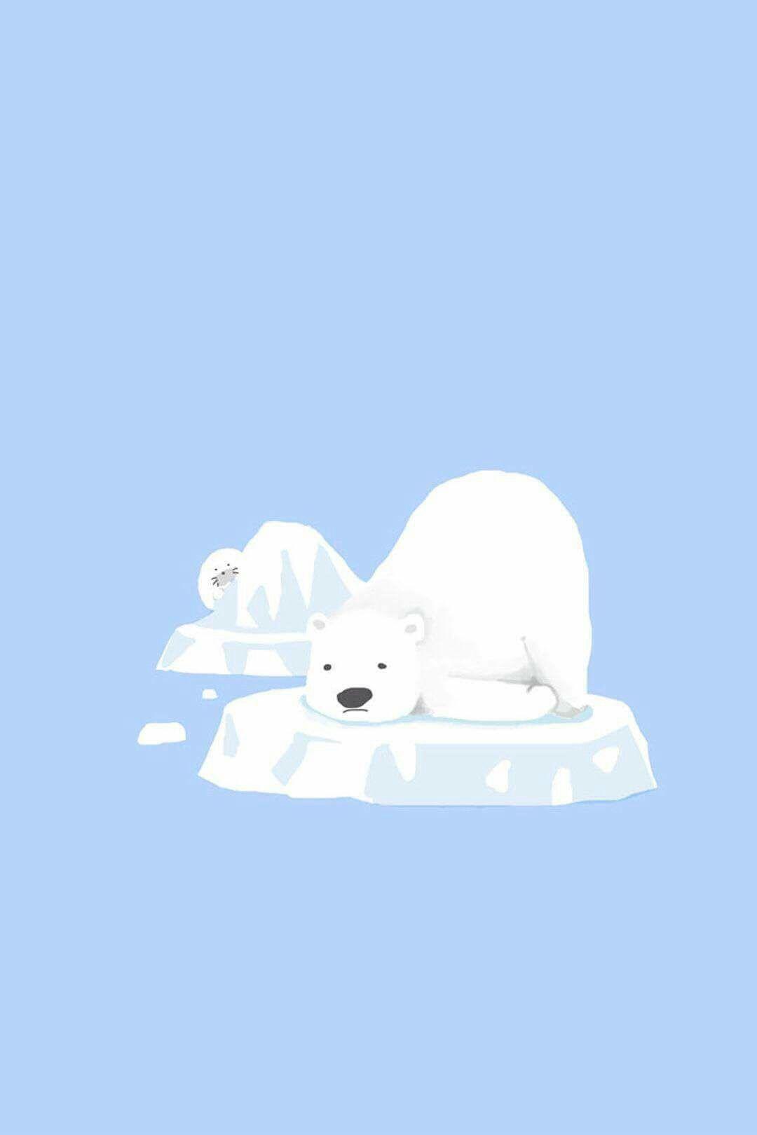 1080x1620 stock gallery. iPhone wallpaper winter, Polar bear wallpaper, Bear wallpaper