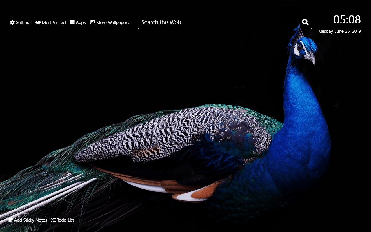1280x800 Peacock Wallpaper HD New Tab Theme