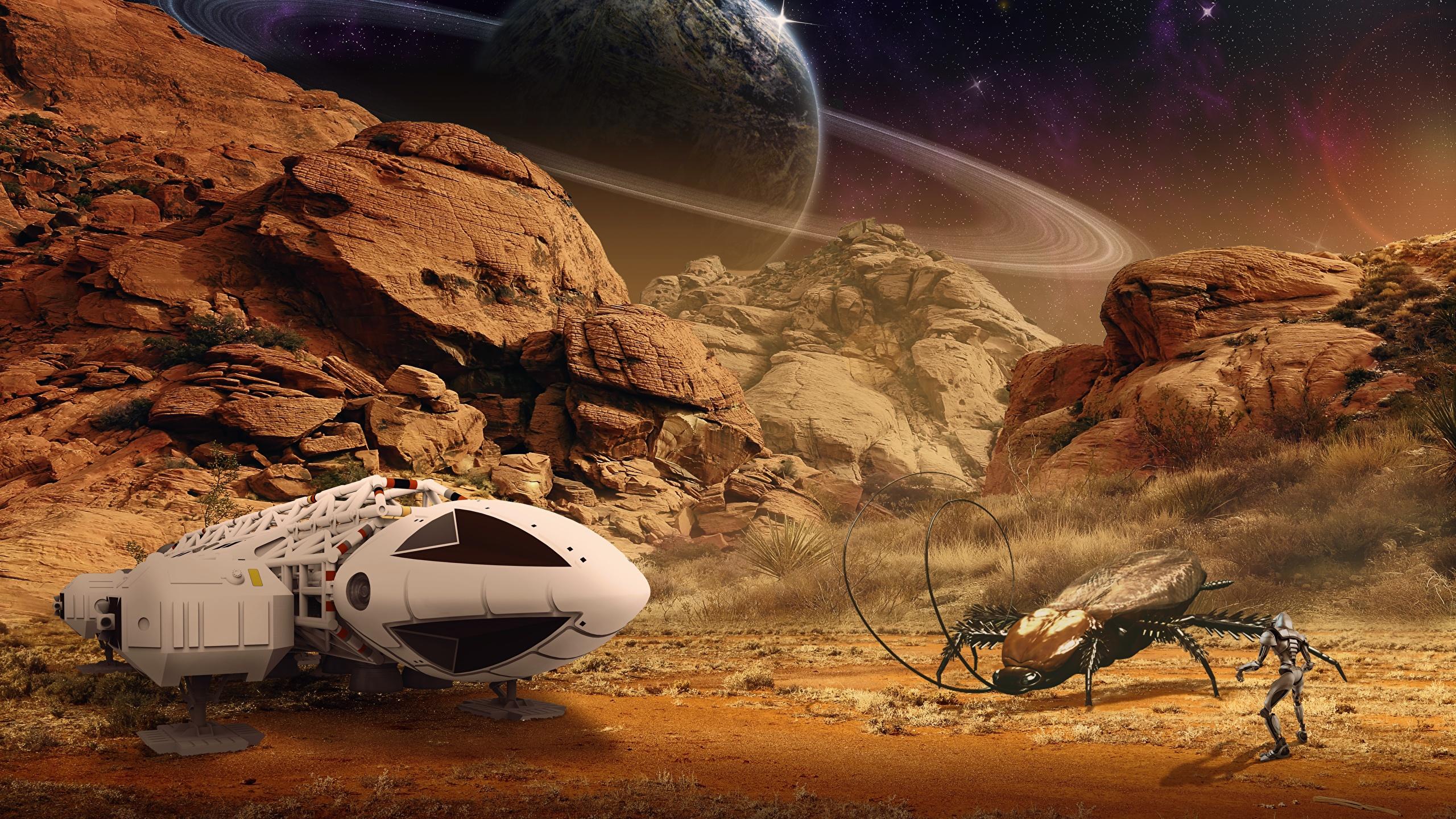 2560x1440 Image Bugs Planets Starship Surface of planets Crag 2560x1440