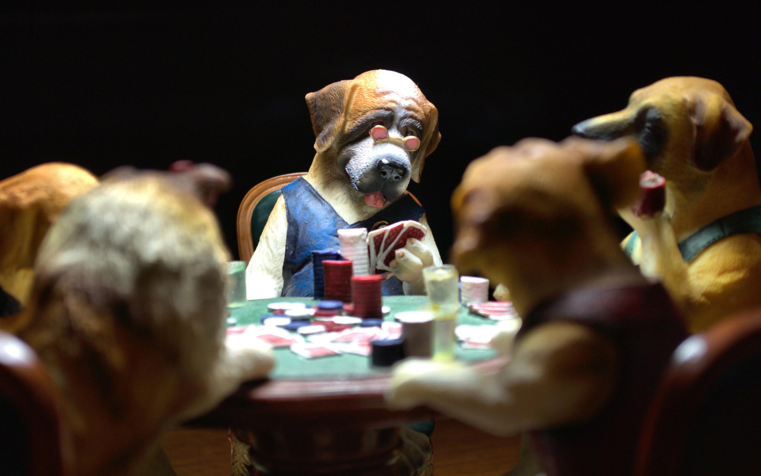 2560x1600 Dogs Playing Poker Wallpaper for Android 2560x1600