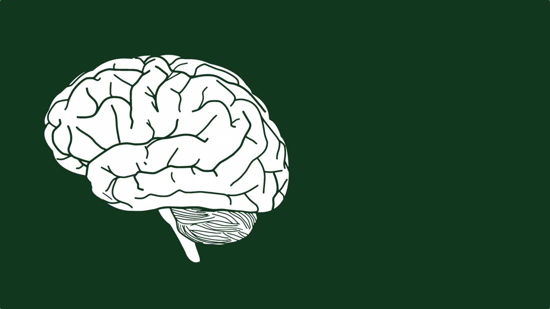 1920x1080 green white brain simple background clean High Quality Wallpaper, High Definition Wallpaper