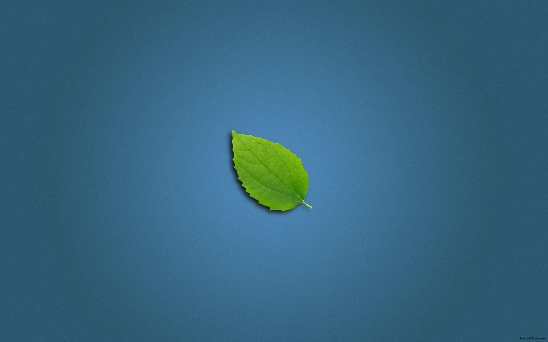 1920x1200 Clean desktop wallpaper