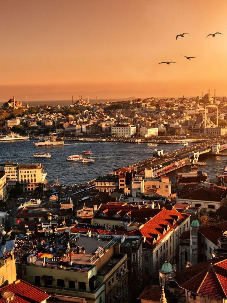 768x1024 Istanbul City View iPad wallpaper