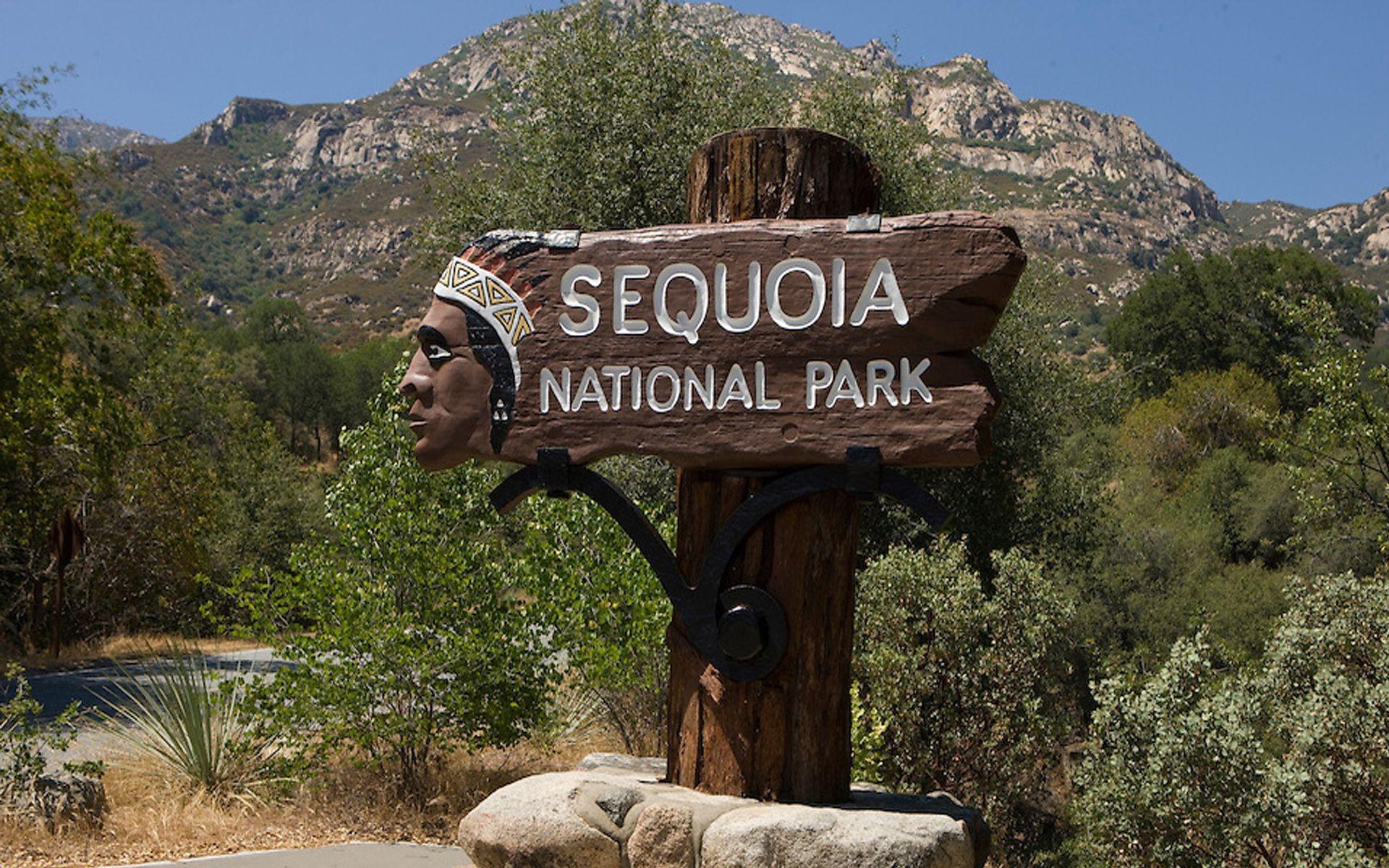 1920x1200 Sequoia National Park Wallpaper