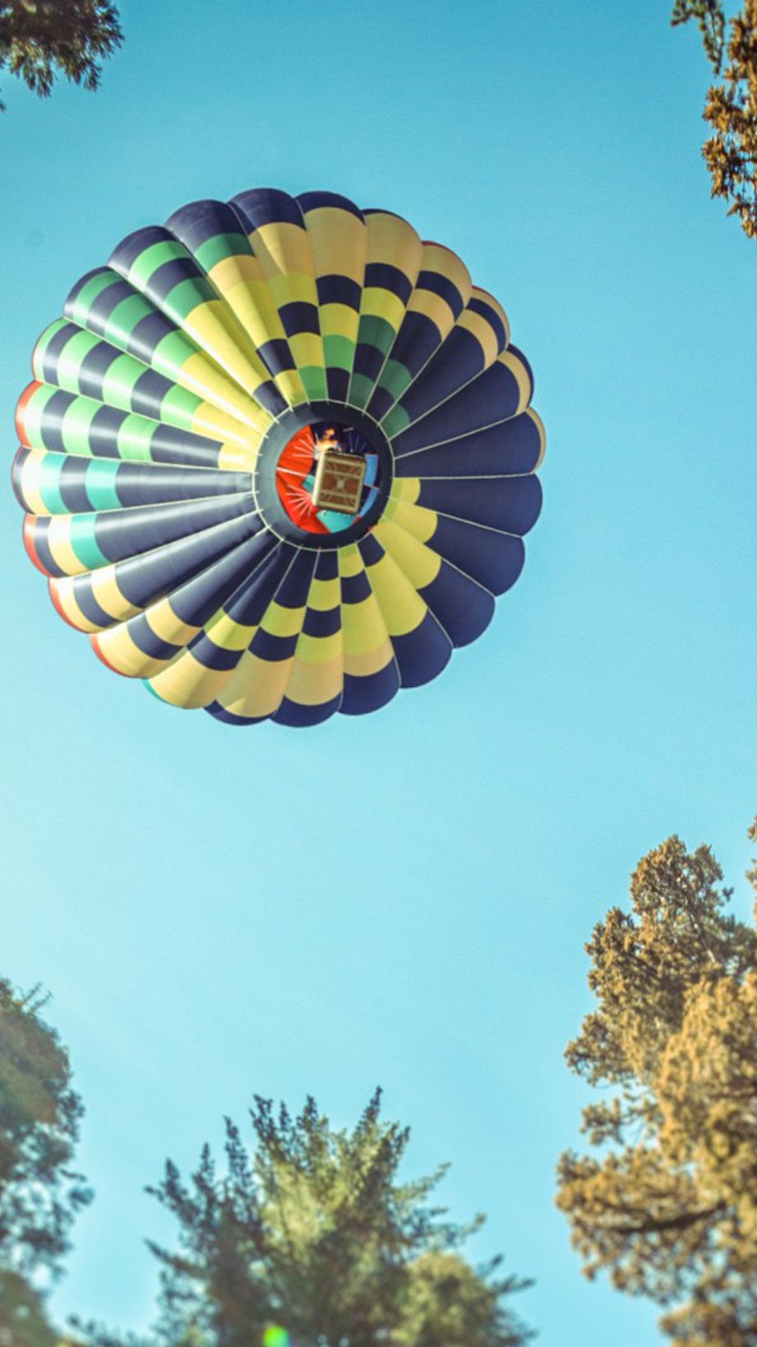 1080x1920 Hot Air Balloon In Sequoia National Park 4K Ultra HD Mobile Wallpaper