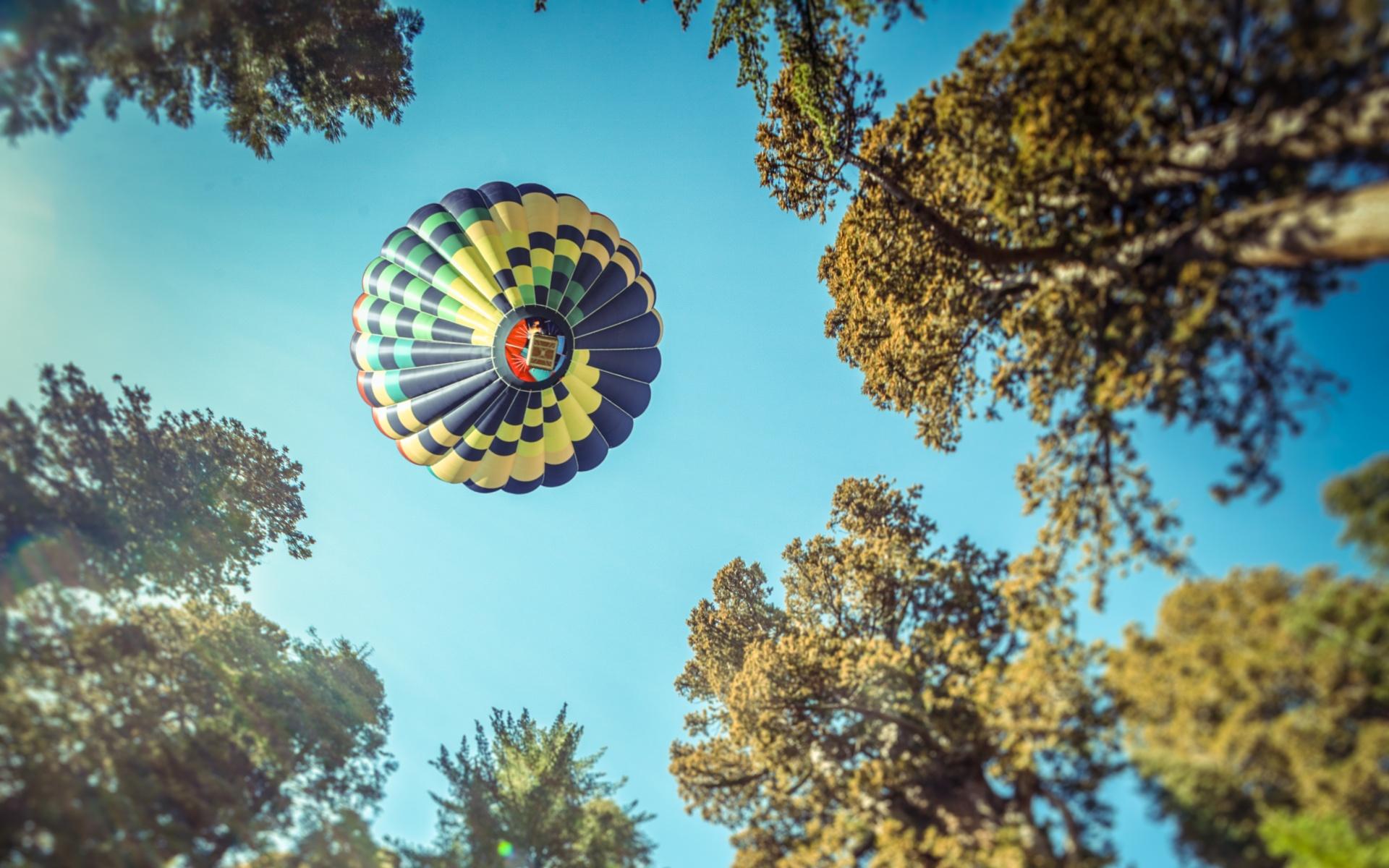 1920x1200 Hot air balloon Wallpaper 4K, Sequoia National Park, California, Woods, Nature